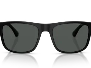 EMPORIO ARMANI  EA4129 504287