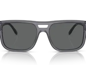 EMPORIO ARMANI  EA4197 502987