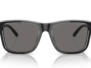 EMPORIO ARMANI  EA4208 605187