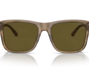 EMPORIO ARMANI  EA4208 605573