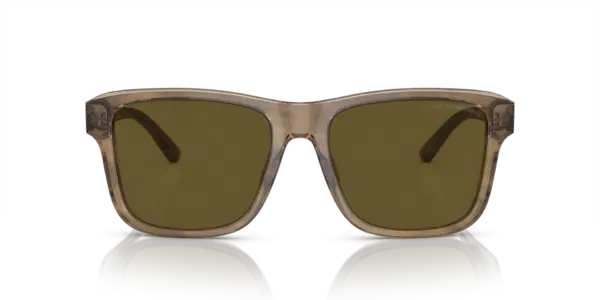 EMPORIO ARMANI  EA4208 605573