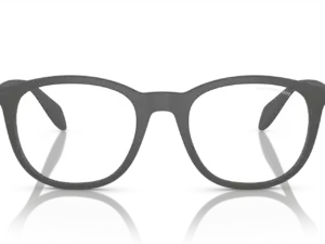EMPORIO ARMANI  EA4211 51261W