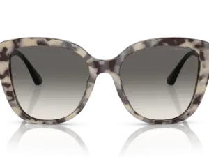 EMPORIO ARMANI  EA4214U 605811