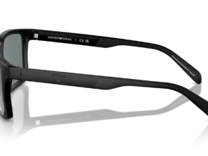 EMPORIO ARMANI  EA4219 50016G