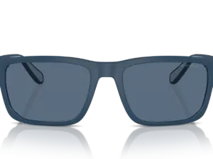 EMPORIO ARMANI  EA4219 576380
