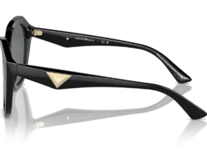 EMPORIO ARMANI  EA4221 501787