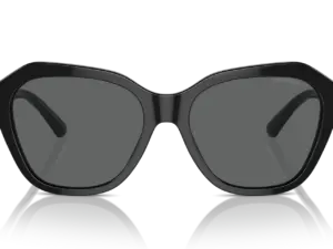 EMPORIO ARMANI  EA4221 501787