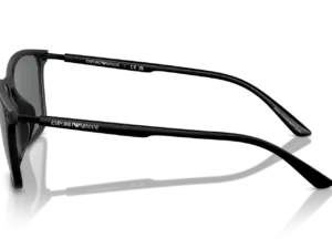 EMPORIO ARMANI  EA4223U 500187