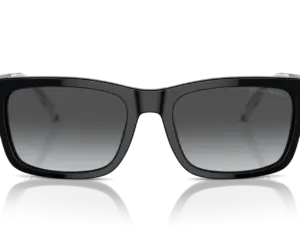 EMPORIO ARMANI  EA4224 5017T3