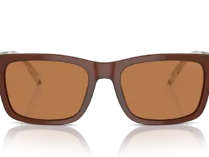 EMPORIO ARMANI  EA4224 609573