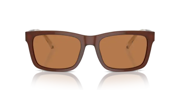 EMPORIO ARMANI  EA4224 609573
