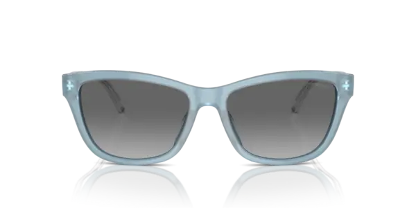 EMPORIO ARMANI  EA4227U 609611