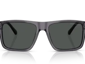 EMPORIO ARMANI  EA4232 610687