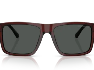 EMPORIO ARMANI  EA4232 617487