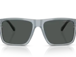 EMPORIO ARMANI  EA4232 617787