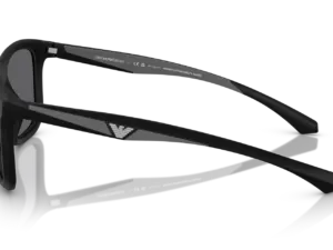 EMPORIO ARMANI  EA4234U 5001T3
