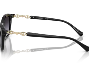 EMPORIO ARMANI  EA4238 50178G