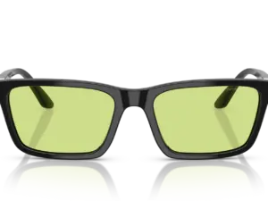 EMPORIO ARMANI  EA4239U 5017/2