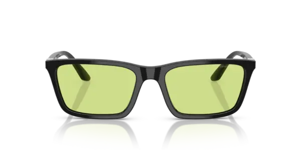 EMPORIO ARMANI  EA4239U 5017/2