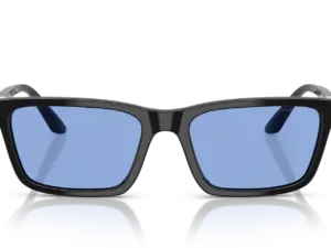 EMPORIO ARMANI  EA4239U 501780