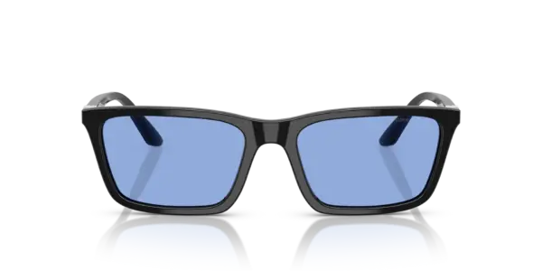 EMPORIO ARMANI  EA4239U 501780