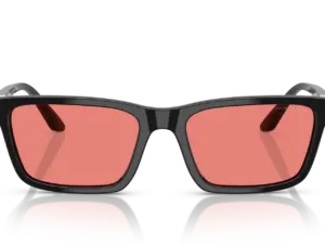 EMPORIO ARMANI  EA4239U 501784