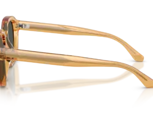 EMPORIO ARMANI  EA4245U 624687