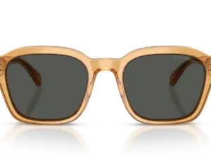 EMPORIO ARMANI  EA4245U 624687
