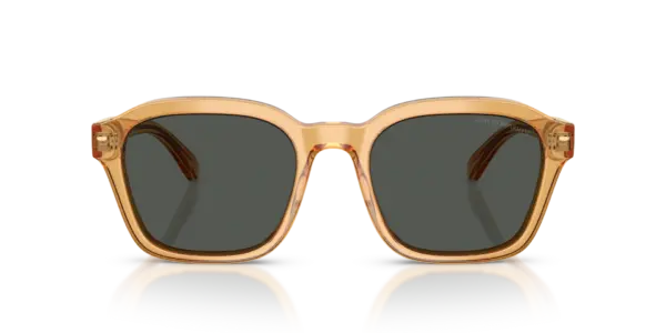 EMPORIO ARMANI  EA4245U 624687