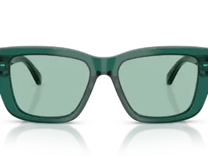 EMPORIO ARMANI  EA4246U 6252/2
