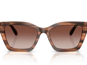EMPORIO ARMANI  EA4250U 626613
