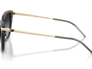 EMPORIO ARMANI  EA4251 62628G