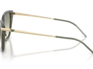 EMPORIO ARMANI  EA4251 62642C