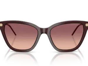 EMPORIO ARMANI  EA4251 62658D