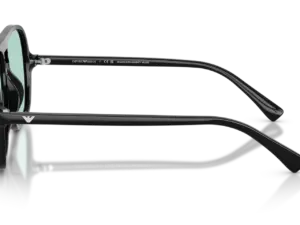EMPORIO ARMANI  EA4252U 501765