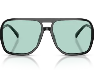 EMPORIO ARMANI  EA4252U 501765
