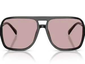 EMPORIO ARMANI  EA4252U 501773