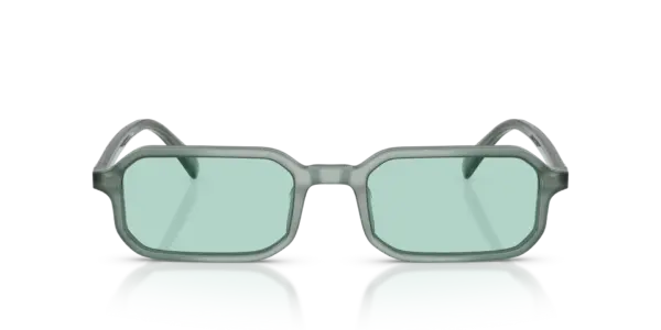EMPORIO ARMANI  EA4253U 627065