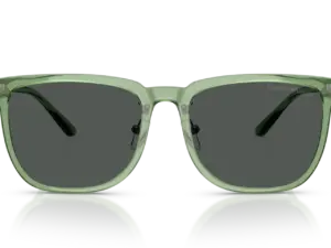 EMPORIO ARMANI  EA4255D 536287