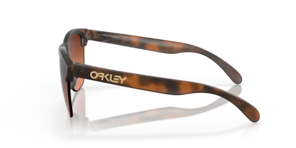 OAKLEY FROGSKINS LITE OO9374 937450 - Imagen 2