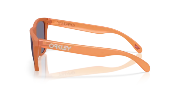 OAKLEY FROGSKINS OO9013 9013M1 - Imagen 2