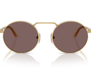 PERSOL  PO1019S 112953