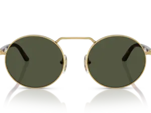 PERSOL  PO1019S 515/31