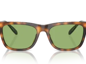 POLO  PH4205U 6089/2