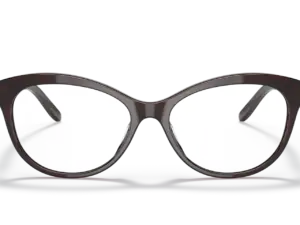 RALPH LAUREN  RL6216U 5855