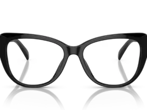 RALPH LAUREN  RL6232U 5001