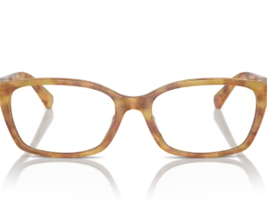 RALPH LAUREN  RL6244U 5304