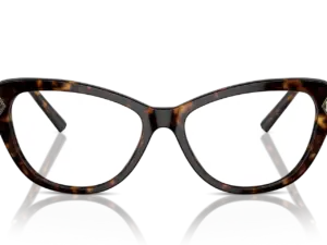 RALPH LAUREN  RL6245 5003