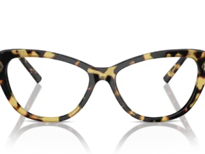 RALPH LAUREN  RL6245 5004