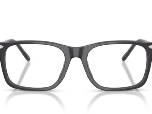 RALPH LAUREN  RL6253U 5965